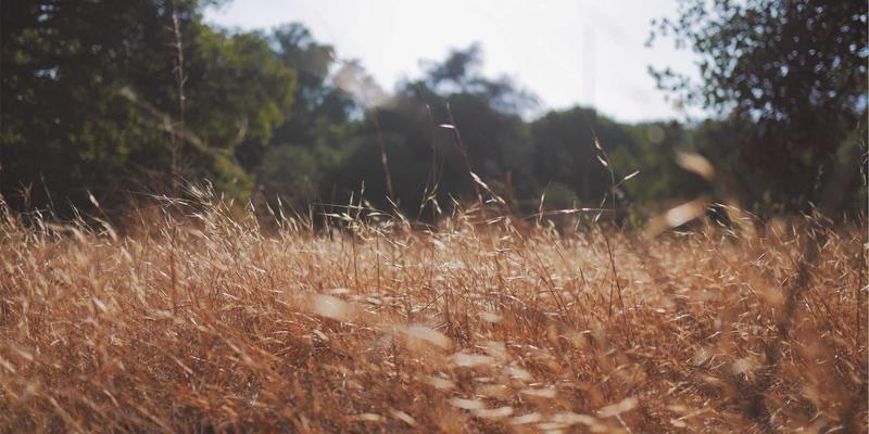 战略升维与运营精进：河北众合汇鑫客户案例中的禅意管理之道