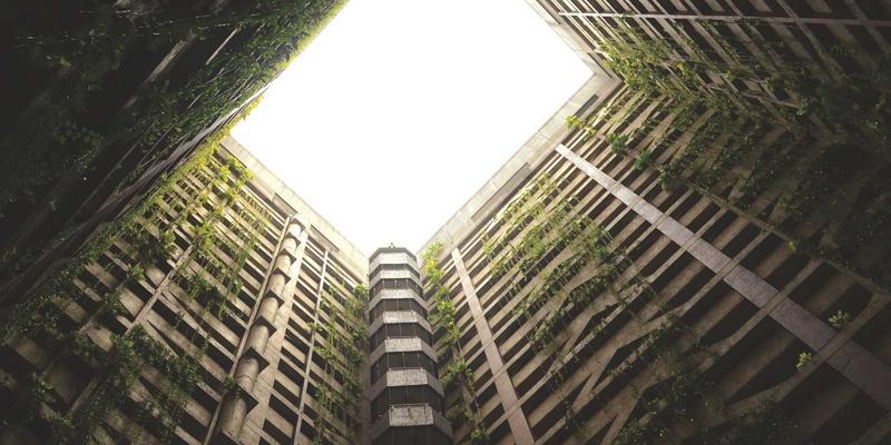 河北众合汇鑫3：以禅意管理重塑企业战略，引领商业咨询新范式