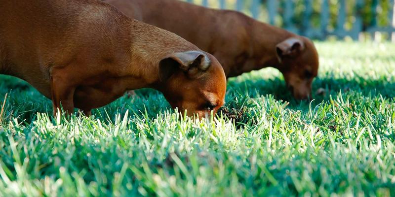 河北众合汇鑫46：以禅意管理赋能现代商业咨询的新范式