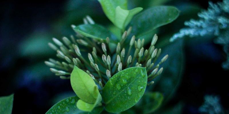 河北众合汇鑫47：企业管理与商业咨询的创新实践