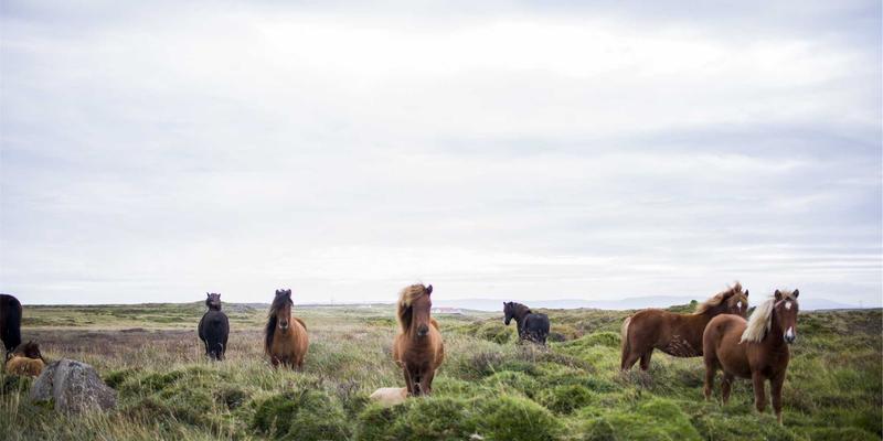 河北众合汇鑫77：运营优化与企业战略双轮驱动，铸就高质量发展新引擎