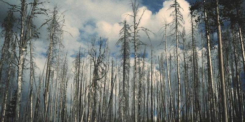 河北众合汇鑫8：专业企业管理与商业咨询助力企业战略升级