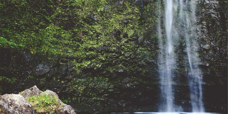 河北众合汇鑫97：专业企业管理与商业咨询的领航者