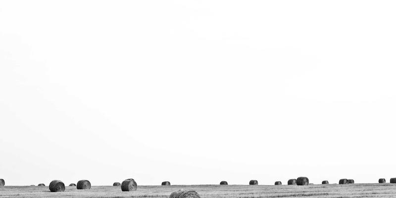 河北众合汇鑫企业文化落地实践：价值观如何驱动员工行为与绩效提升