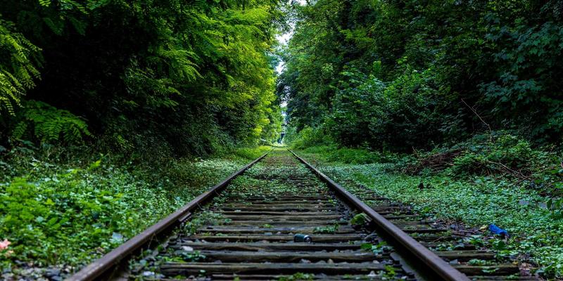 河北众合汇鑫应用:以运营优化与战略咨询驱动企业高质量发展