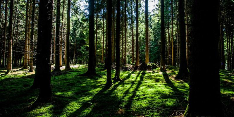 河北众合汇鑫的绿色制造与循环经济实践：商业咨询如何驱动运营优化与双赢发展