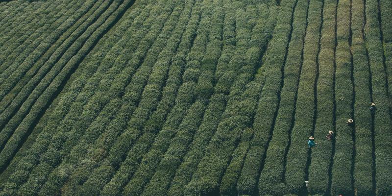 河北众合汇鑫风险管理框架：企业战略如何识别、评估与应对产业链不确定性