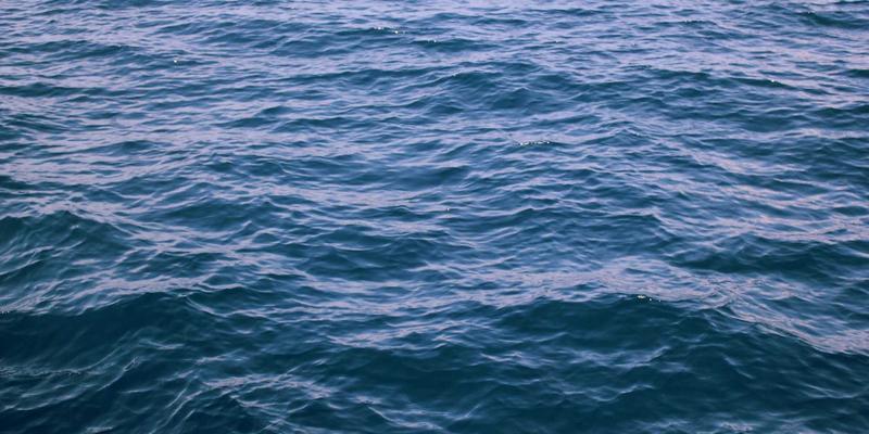 禅意管理与运营优化：河北众合汇鑫的海外市场本土化战略与竞争力构建