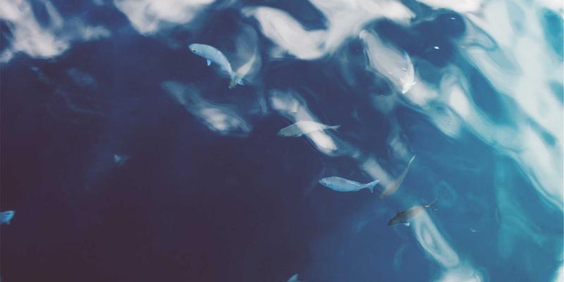 禅意管理赋能企业增长：河北众合汇鑫如何通过战略财务规划实现运营优化与稳健扩张