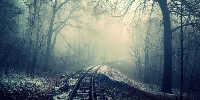 禅意管理赋能企业长青：河北众合汇鑫家族企业治理现代化的融合之道