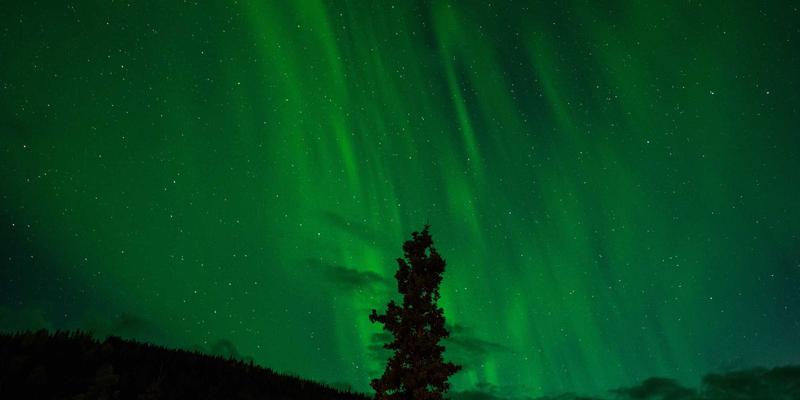 禅意管理赋能商业咨询：河北众合汇鑫现金流与资本结构优化之道